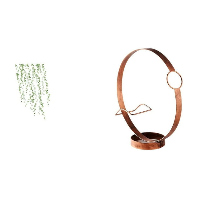 Elegante arte mural con enredaderas y soporte metálico para botellas, ideal para la decoración de dormitorios, baños y salas de estar.