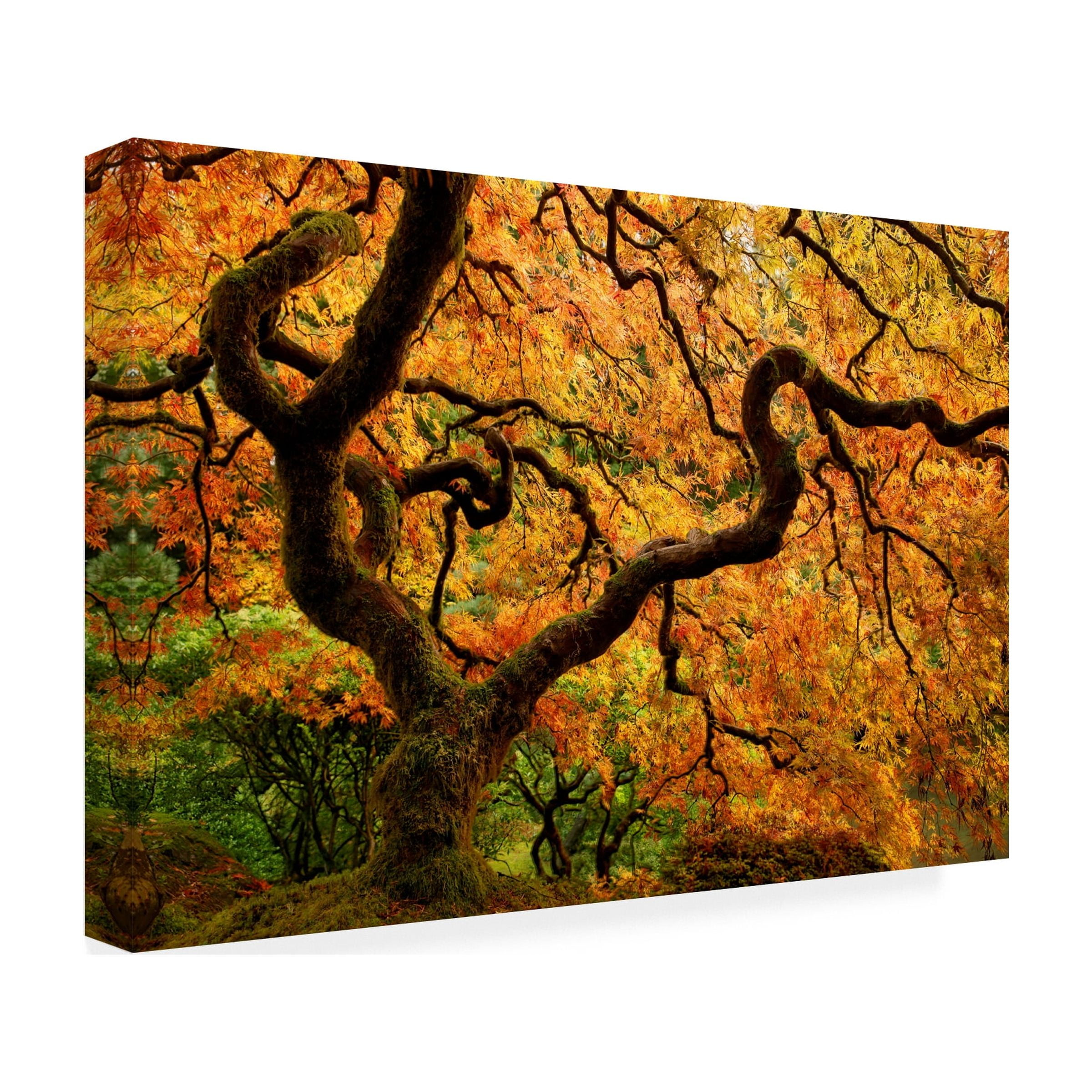 Portland Japanese Garden' Canvas Art by Mike Jones Photo