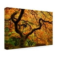 thumbnail image 4 of Trademark Fine Art 'Portland Japanese Garden' Canvas Art by Mike Jones Photo, 4 of 4