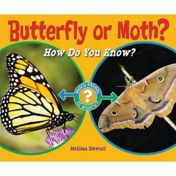 Pre-Owned Butterfly or Moth?: How Do You Know?