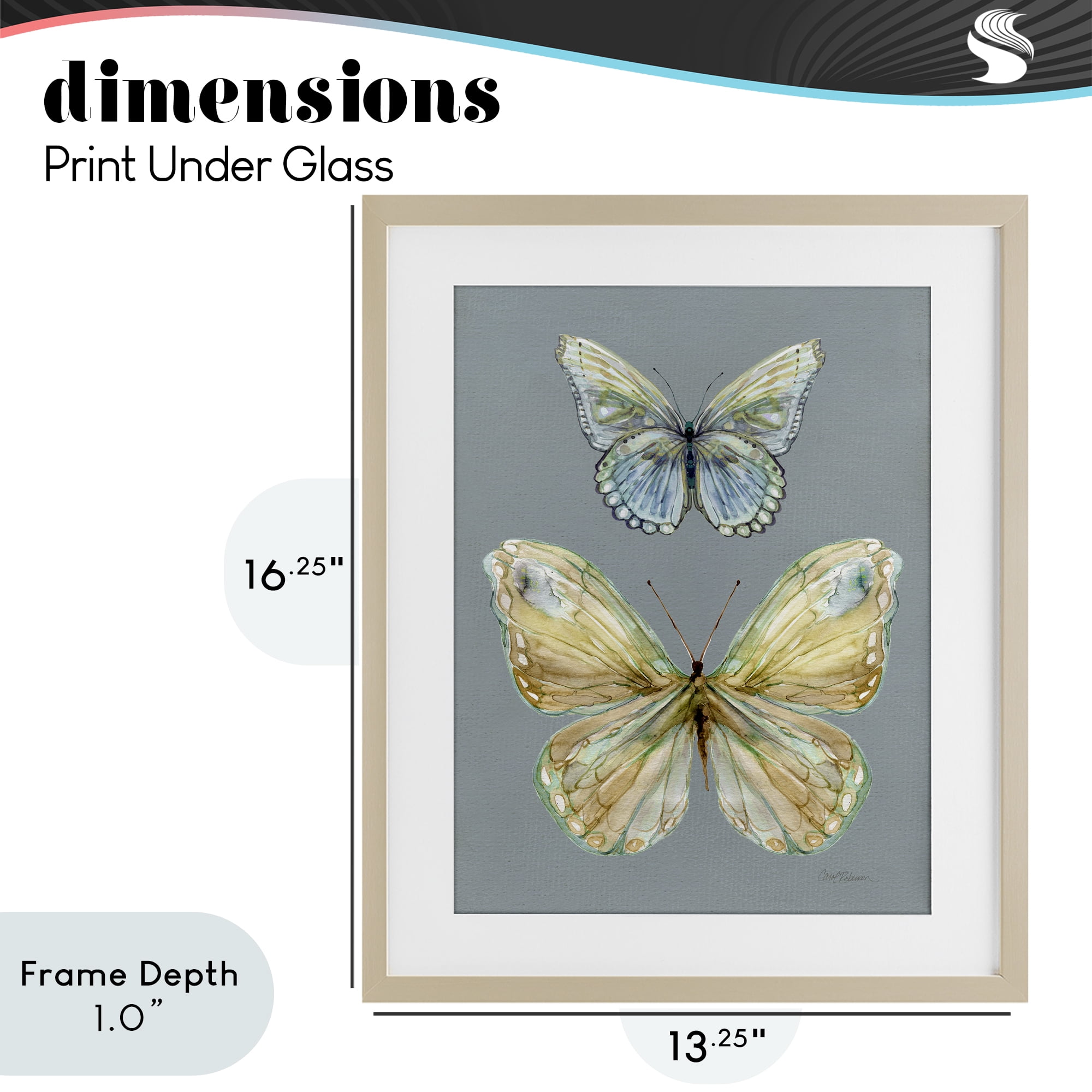 Stupell Industries Delicate Butterflies on Slate Birch Framed Print Under Glass, design by Carol Robinson