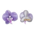 thumbnail image 3 of Unique Bargains 2 Pcs Duckbill Clip Phalaenopsis Faux Pearl Hair Clips for Women Ombre Purple, 3 of 5