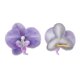 thumbnail image 3 of Ganga Única 2 Pcs Clip de Pico de Pato Phalaenopsis Clips de Pelo de Perlas Falsas para Mujeres Ombre Púrpura, 3 of 5