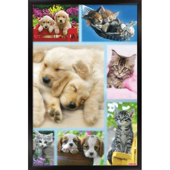 Keith Kimberlin - Puppies and Kittens Collage Wall Poster, 14.725" x 22.375", Framed