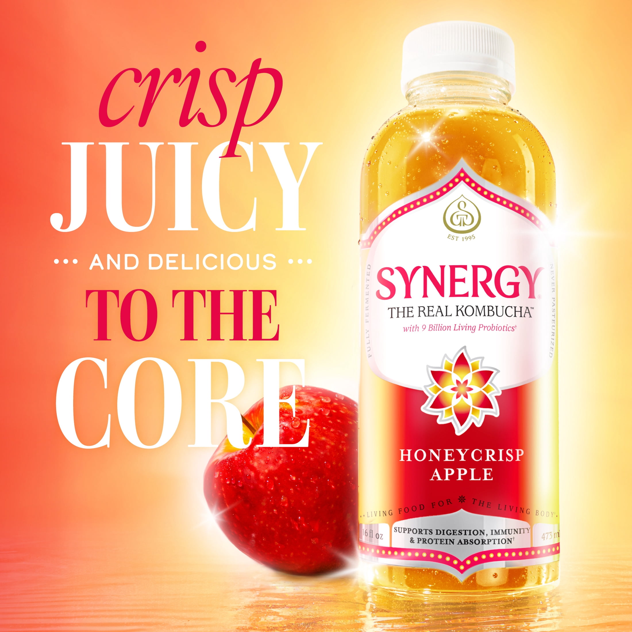 Synergy Honeycrisp Apple Kombucha 16 fl oz