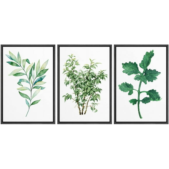 NWT Framed Wall Art Print Set Green Forest Leaf Trio Nature Plants Illustrations Modern Art Rustic Group Relax/Calm Multicolor Ultra for Living Room, Bedroom, Office - 16"x24"x3 Black