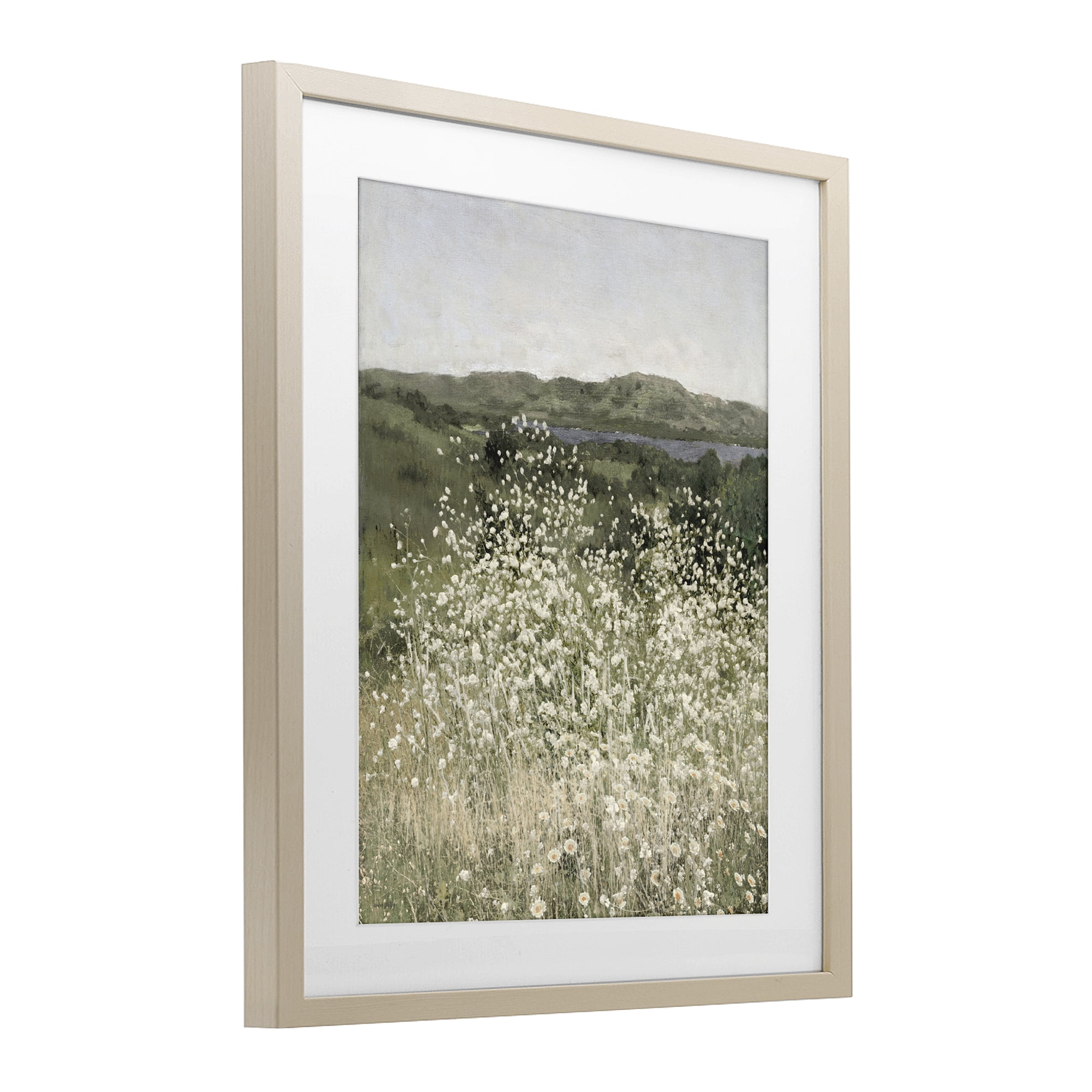 Stupell Industries Sunlit Meadow of White Daisies Birch Framed Print Under Glass, design by Amber Sterling