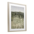 thumbnail image 2 of Stupell Industries French Country Sunlit Meadow of White Daisies Birch Framed Print Under Glass, 13 x 16, by Amber Sterling, 2 of 8