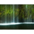 thumbnail image 2 of Mikaels, Natalie 18x15 White Modern Wood Framed Museum Art Print Titled - Paradise, 2 of 4