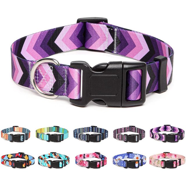 Collier pour Chien en Nylon Ajustable avec Motifs, Collier pour Animal Doux et Confortable pour Petits, Moyens et Grands Chiens (L, Arrow)