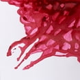 thumbnail image 2 of Tinta Para Dibujo 14Ml #227 Deep Red Winsor & Newton, 2 of 3