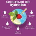 thumbnail image 5 of Ultima Replenisher, Electrolyte Drink Mix Packets, Sugar Free Daily Hydration Powder, Grape, 8 Count Stickpacks, 5 of 11