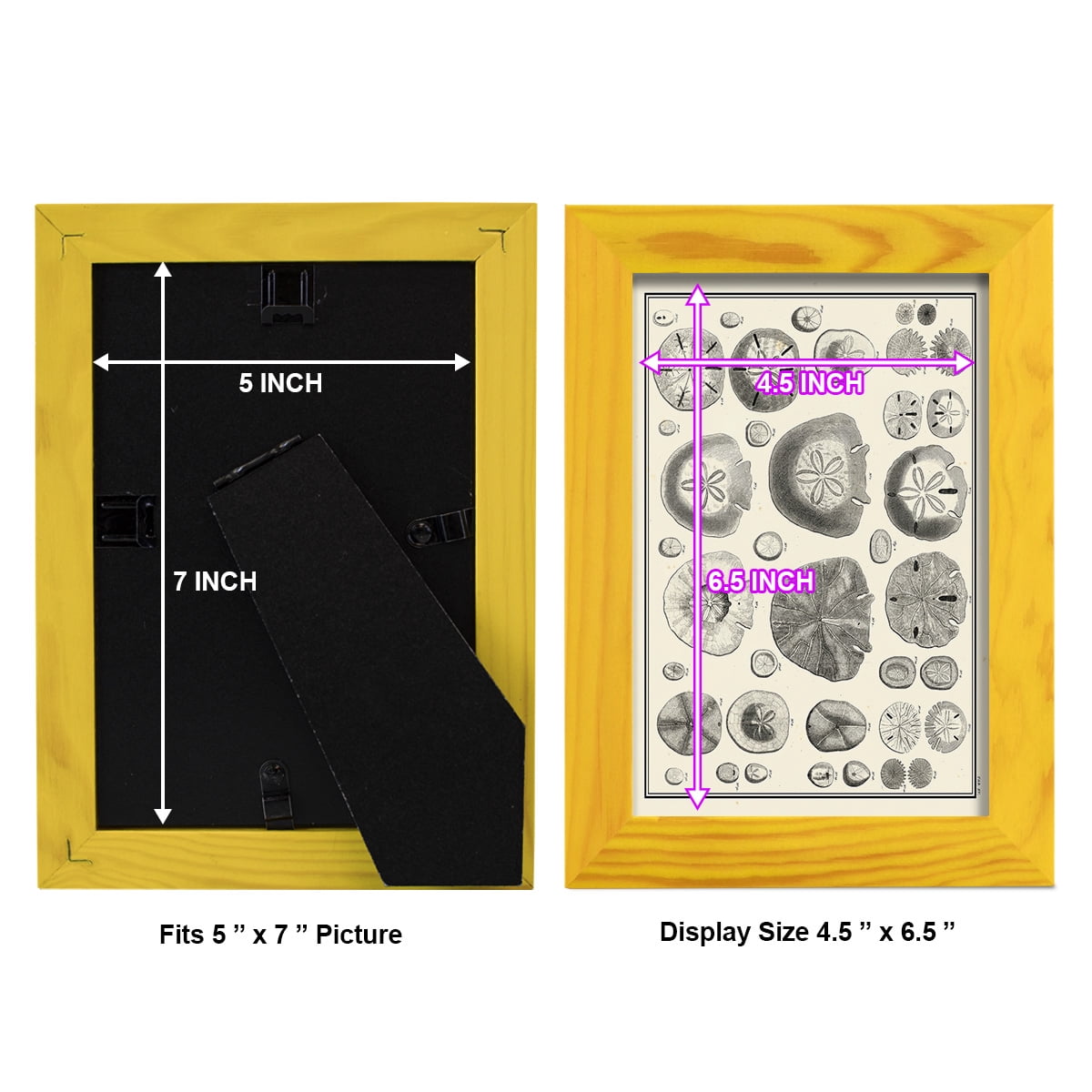 Aegean Collection II -Framed Print w/glass-Sunflower Yellow