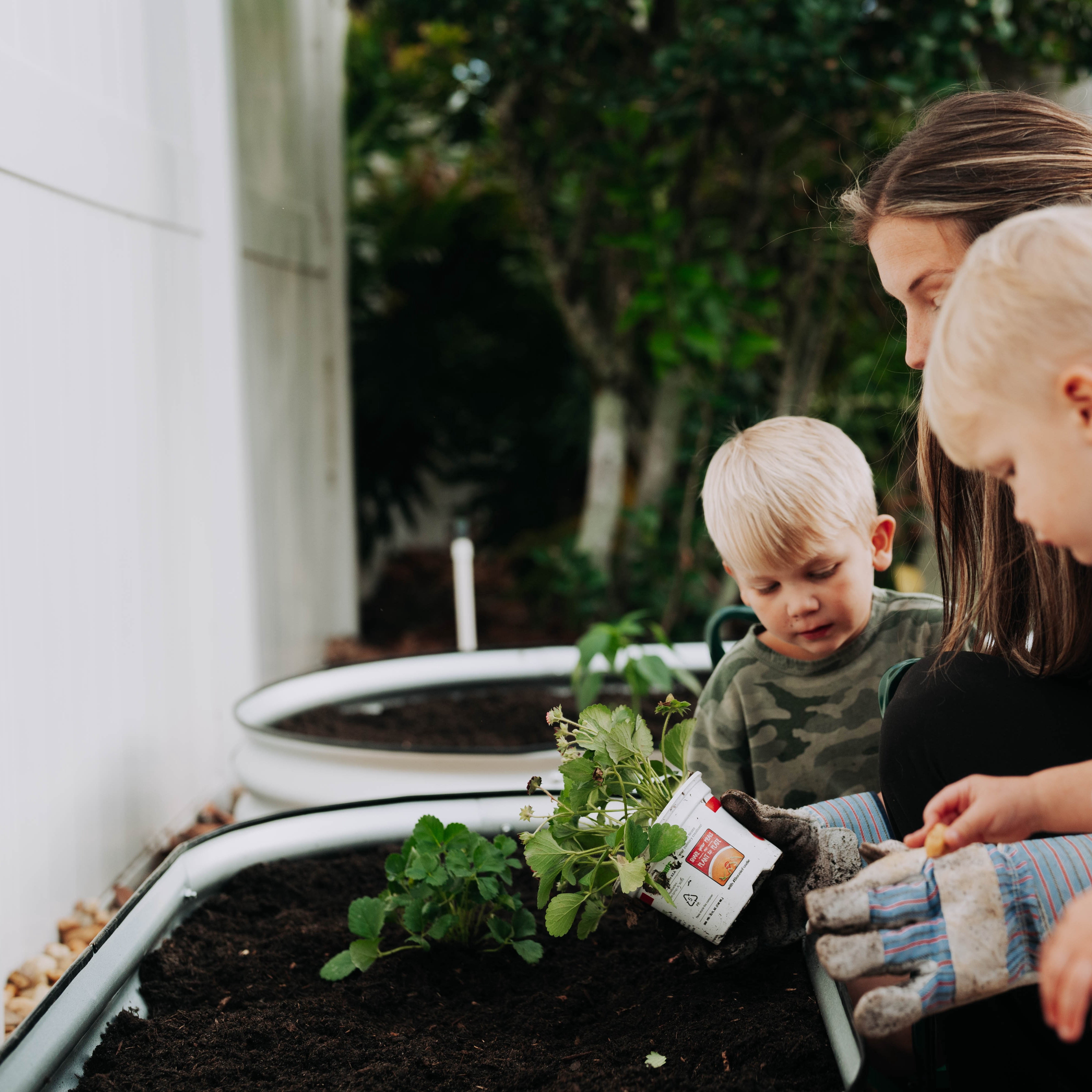 Backyard Expressions Home Galvanized Raised Garden Bed Kit 4x2x1ft, Planter Box Raised Garden Beds Outdoor, Easy Assembly Metal Raised Bed for Gardening Vegetables, Fruits, Flowers - Silver