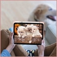 thumbnail image 4 of Fintie Hybrid Slim Case for iPad (A16) 11th Generation 11 Inch (2025), iPad 10th Generation 10.9 Inch (2022), with Clear Transparent Back, Rose Gold, 4 of 11