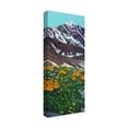 thumbnail image 2 of Trademark Fine Art 'Torreys Peak in Spring' Canvas Art by James W. Johnson, 2 of 3