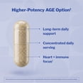 thumbnail image 5 of Kyolic Aged Garlic Extract Formula 200, Cardiovascular Immune, Reserve, 120 Capsules, 5 of 8