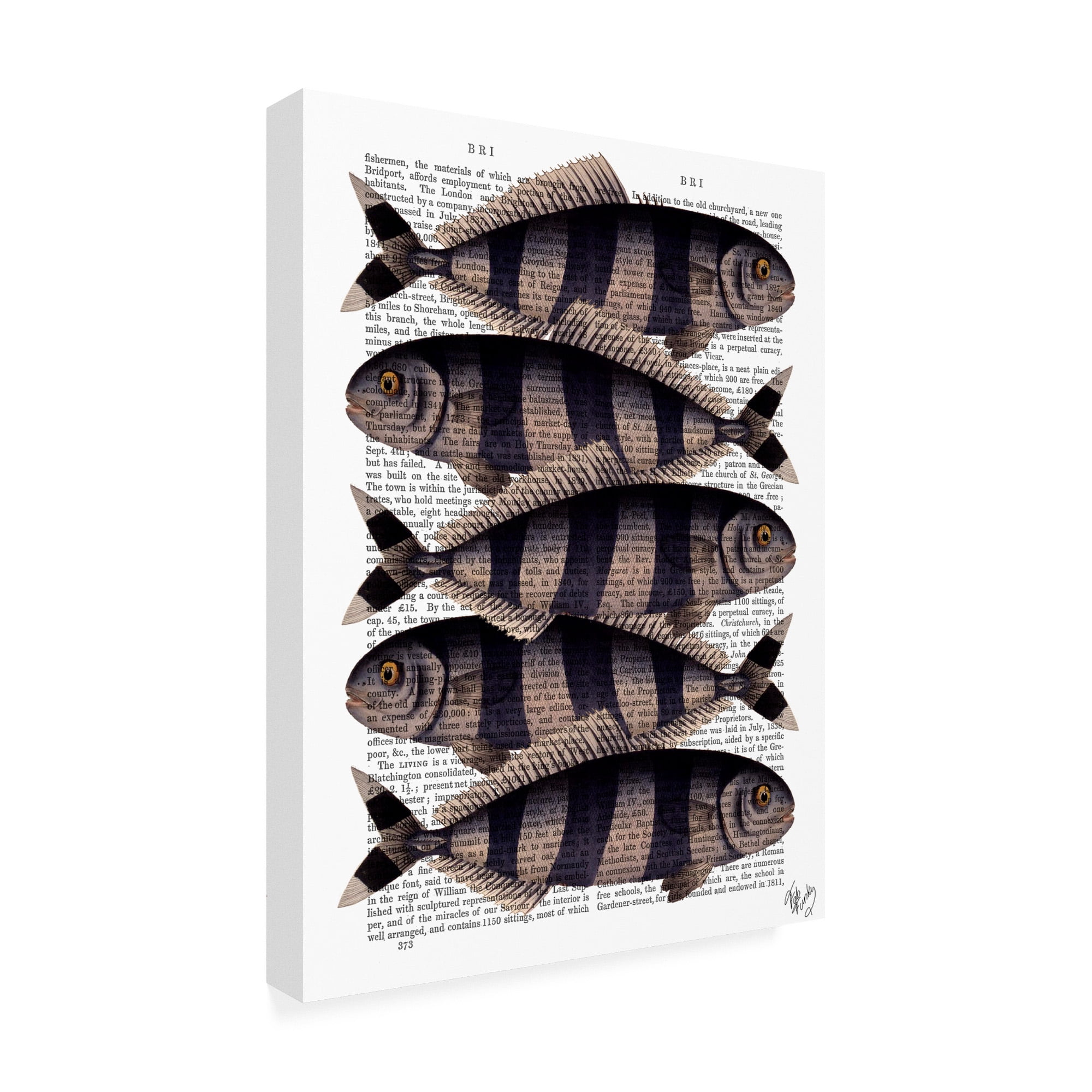 Trademark Fine Art 'Five Striped Fish' Canvas Art by Fab Funky