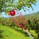 thumbnail image 1 of Greenadscape 1Jgo Fruit Picker Con Cesta Acolchada Y Mango Ajustable Para Recolección En Jardín, 1 of 6