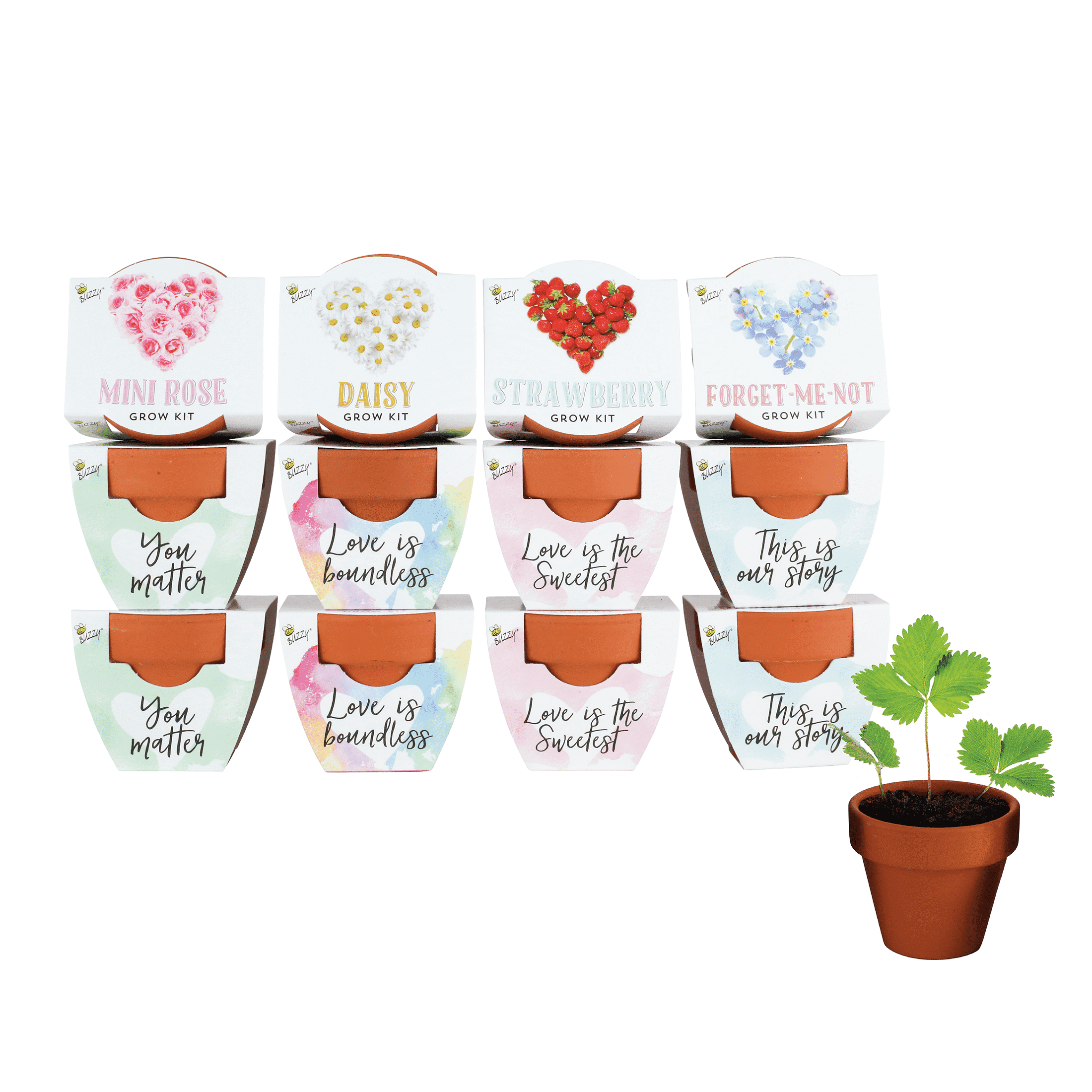 best soil mix for monstera 8L Monstera Soilless Potting Mix