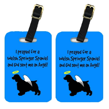 Pair of 2 Welsh Springer Spaniel Luggage Tags