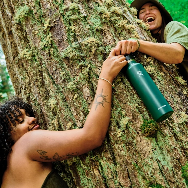 Hydro Flask Standard Mouth Flex Cap Insulated Water Bottles,18 oz