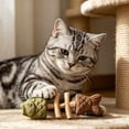 thumbnail image 7 of Catnip and Silvervine Chew, Natural Fishbone Chew Toy for Cats, Fishbone-Shaped Cat Dental Toy for Chewing, Licking, Pawing, Boredom Relief & Enrichment for Cats&nbsp;, 7 of 7