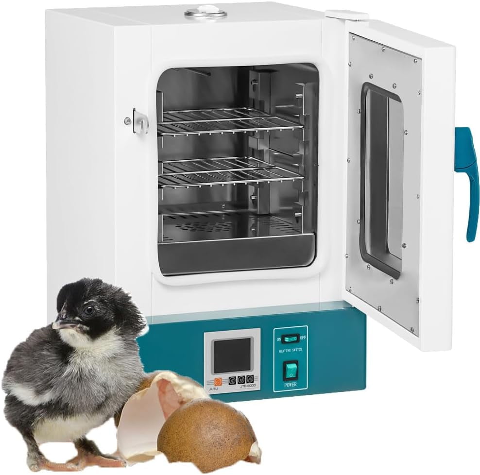 Lab Incubator 20L Bacteria Incubator RT65℃ Scientific Digital