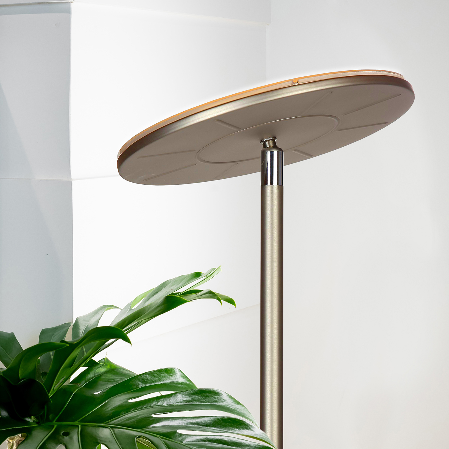 Brightech Brand Sky 30 Flux LED Torchiere Floor Lamp in Nickel Color