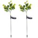 thumbnail image 1 of Luces de jardín decorativas para exteriores, luces solares con forma de flores desde el anochecer hasta el amanecer, luces solares con forma de estaca para jardín, 1 of 6