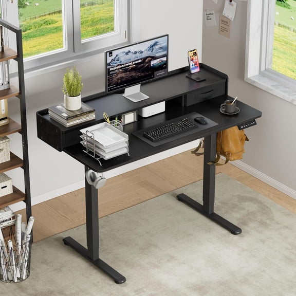 Electric Standing Desk with Two Drawers, Ergonomic Height Adjustable Computer Desk for Home Office Storage Shelf, Black 48 Inch