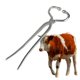 thumbnail image 1 of Piercing Ce Cow Ring Carrying Pliers Less Steel Cow Fixed Tool Plier, 1 of 4