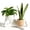 Beige, variant on Relaxing Lying Figure Resin Planter, Cute Reclining Figure Double Planter Pot with Drainage Hole, Funny Plant Pots Interesting Decoration, Create Warm Ambience,Visual Focus