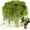 Light Green, variant on Fake Moss for Potted Plants Indoor, 7OZ Green Moss for Crafts - Realistic Faux Grass Decor for DIY, Terrariums, Fairy Gardens & Table Centerpieces Home Decor (Light Green)