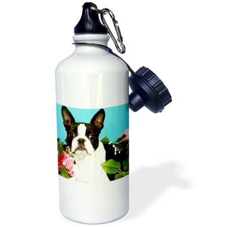 - 3dRose Emma Boston Terrier, Sports Water Bottle, 21oz