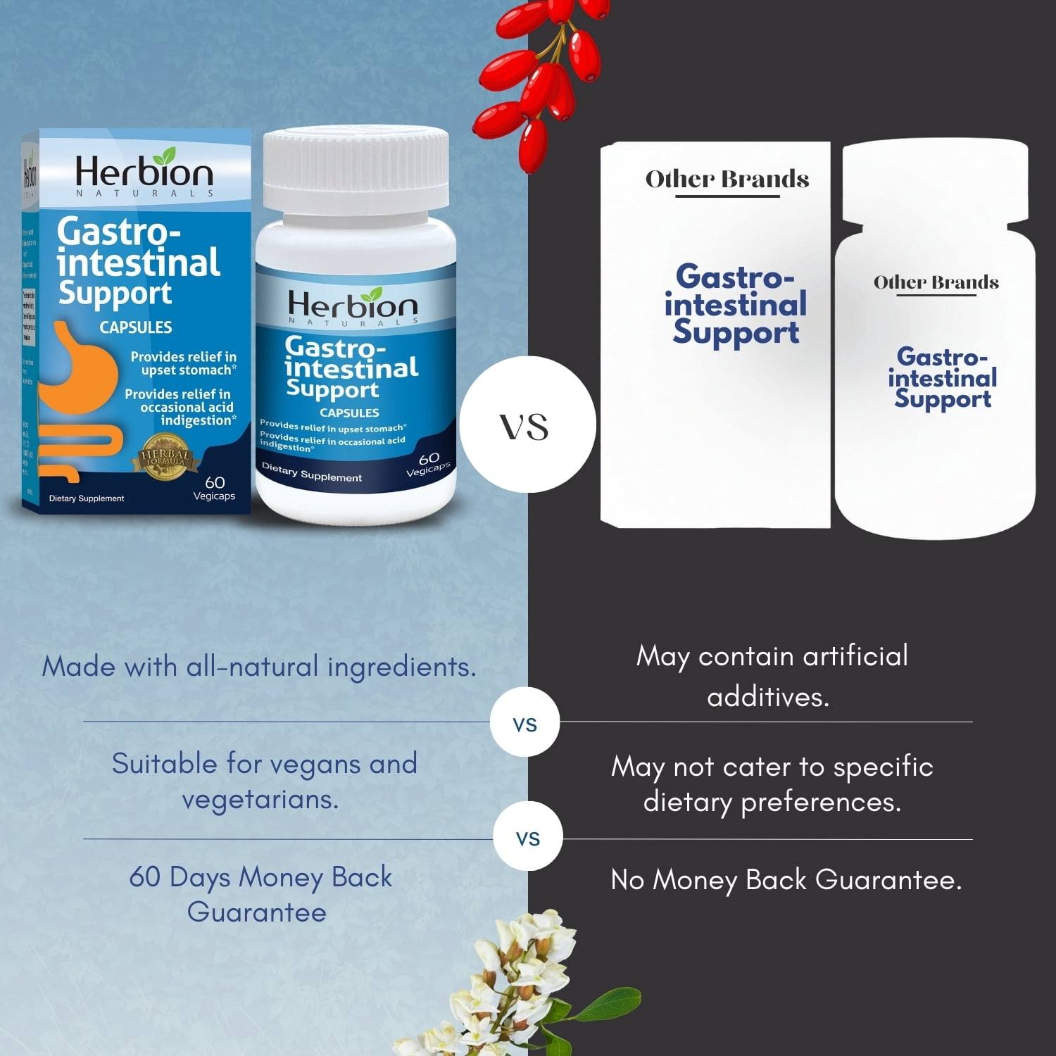 Herbion Naturals Gastro-intestinal Support Herbal Blend for Upset Stomach Relief, Gastrointestinal Health and Function, Occasional Acid Indigestion, Healthy Intestinal Flora, 60 Vegicaps