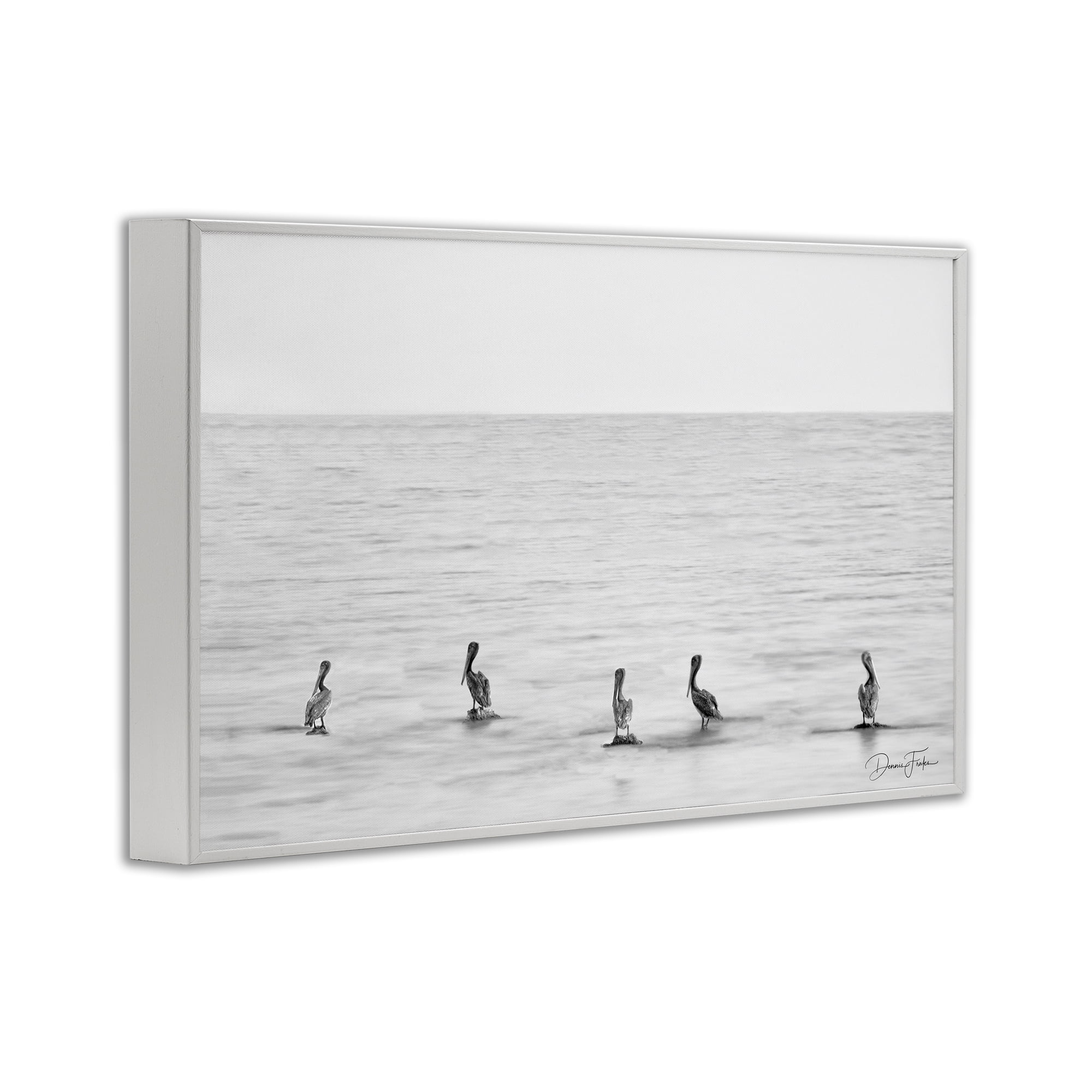 Stupell Industries Pelicans on Shore Landscape Photography White Framed Art Print Wall Art, 24 x 16