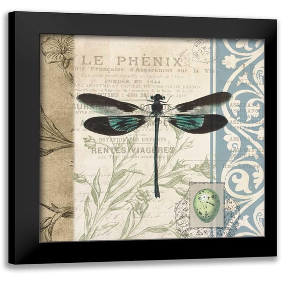 Grey, Jace 12x12 Black Modern Framed Museum Art Print Titled - CART dragonfly