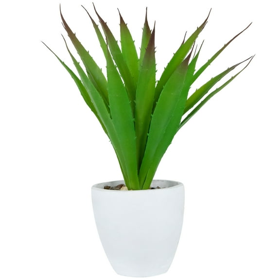 Northlight 13.5" Agave Succulent Artificial Potted Plant - Green/White