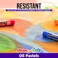 thumbnail image 3 of Pack de 432 piezas de pasteles al óleo Pentel PHN-12CP2 para aula, 3 of 6