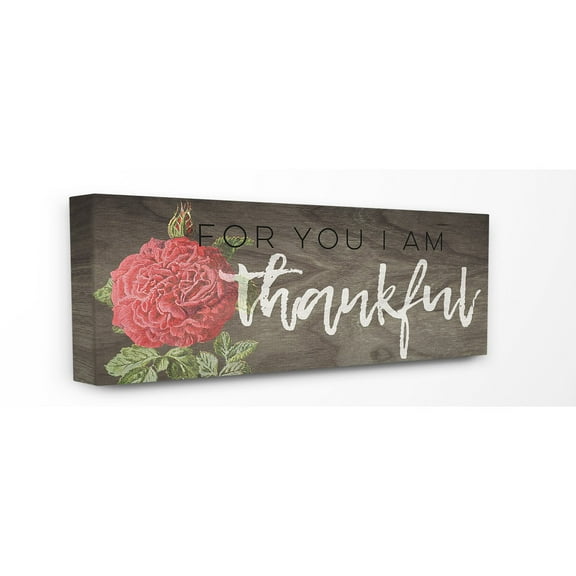 The Stupell Home Decor Collection For You I am Thankful Wall Art
