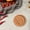 E, variant on Reusable Terracotta Sugar Keeper Disc Tobacco Moisturizer Embossed Clay Moisture Keeper for Brown Sugar Cookies Spices Cigar and Food Storage Containers Junepar26051801