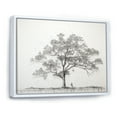 thumbnail image 2 of Designart "Dreamlike White Pine Minimalism II" Tree Pine Floater Framed Wall Art Living Room, 2 of 5