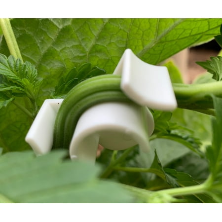 

USA Made LSTclips Low-Stress Training Clips to Allow More Light and Air Flow Plant Bender Clip for Low Stress Training 15 pack