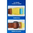 thumbnail image 4 of Collar Con Correa Para Perro Chico Y Mediano, 4 of 7