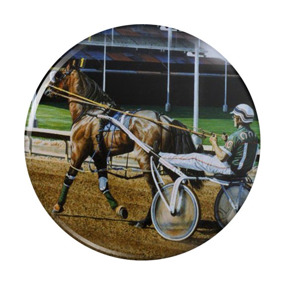 Harness Racing Track Horse Racer Pinback Button Pin