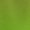F72Q, variant on Pink Green Gradient Loose Dress Evening Dress Summer Dresses for Women Luxury Dress Long Sleeved Dress