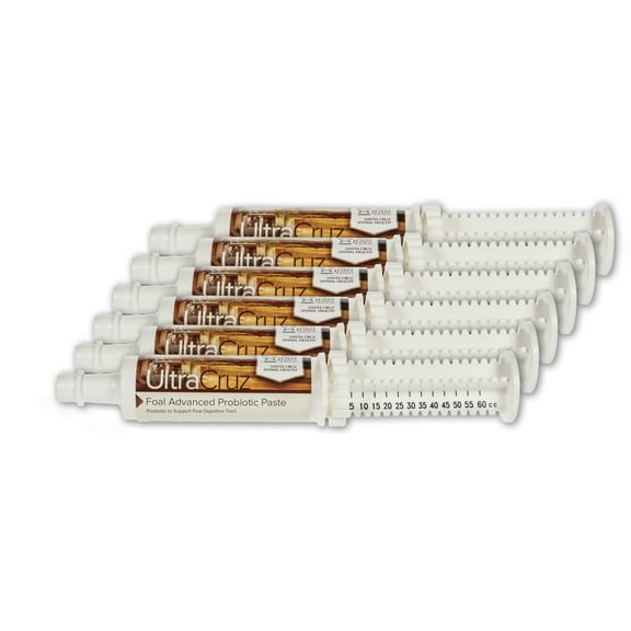 UltraCruz® Foal Advanced Probiotic Paste, 6 x 60 ml