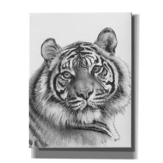 Epic Graffiti 'Shimmer' by Barbara Keith, Canvas Wall Art, 26"x34"