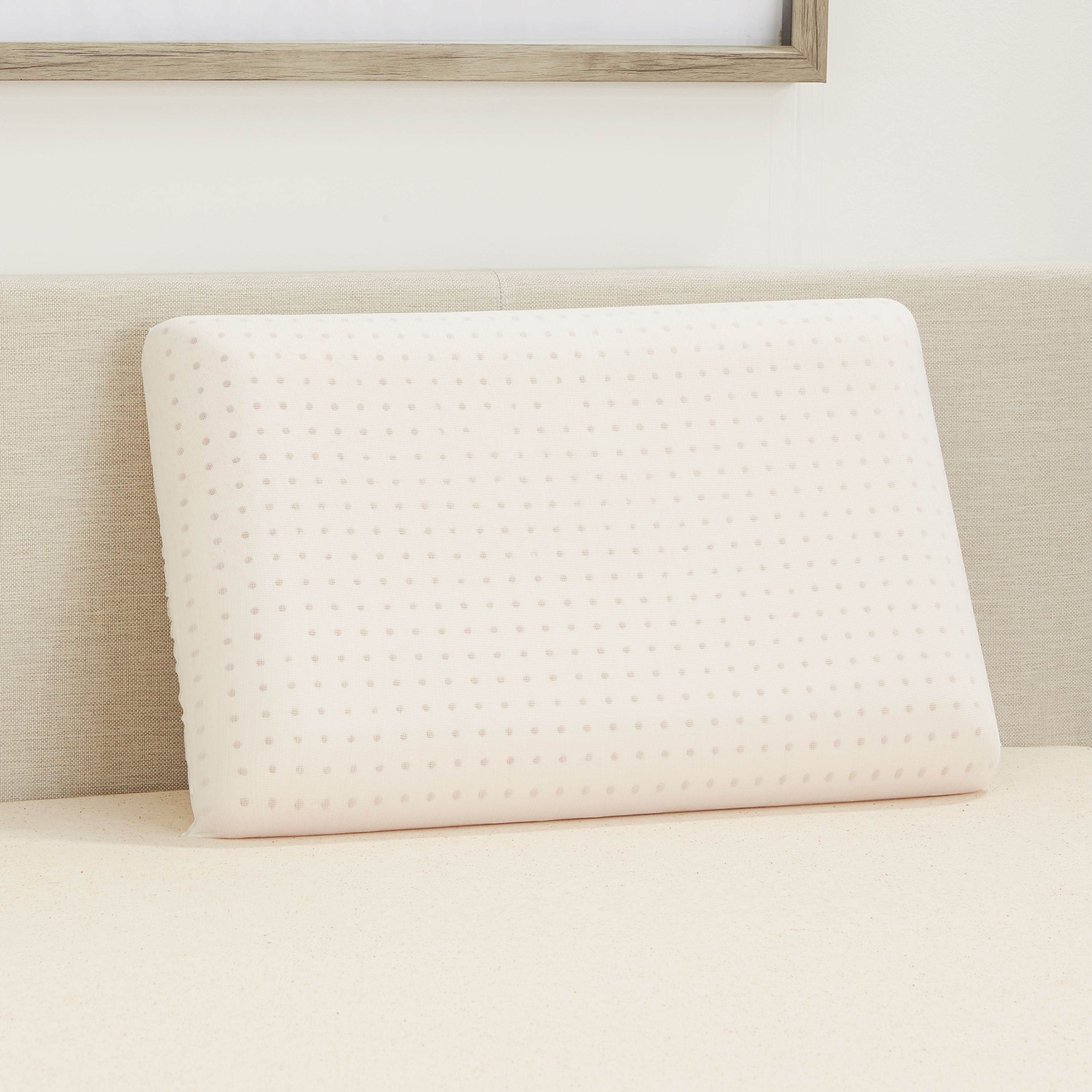 the big one memory foam pillow review